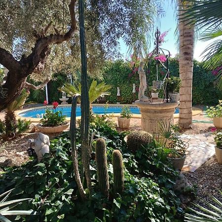 Estudio Venta Ruizo Lorca  Bagian luar foto